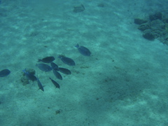 P5020093.JPG