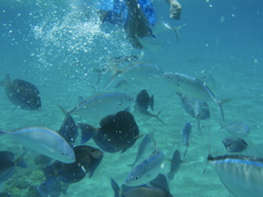 P5020097.JPG