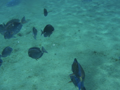 P5020098.JPG