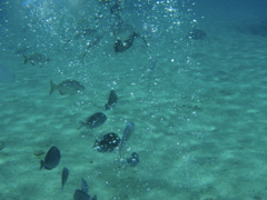 P5020099.JPG
