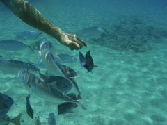 P5020100.JPG