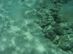P5020102.JPG