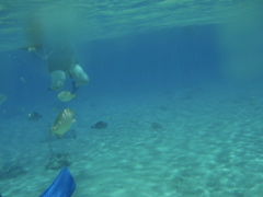 P5020103.JPG