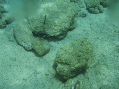 P5020104.JPG