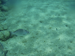 P5020105.JPG