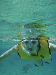 P5020106.JPG