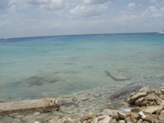 P5020111.JPG