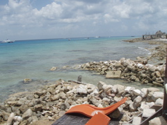 P5020112.JPG