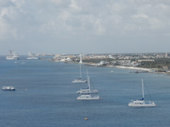 P5020118.JPG