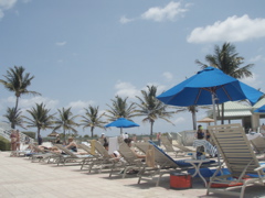 P4260008.JPG