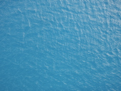 P5020126.JPG