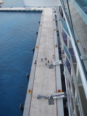 P5020129.JPG