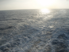 P4280083.JPG
