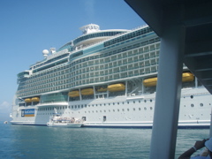 P4290097.JPG