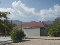 P4290107.JPG